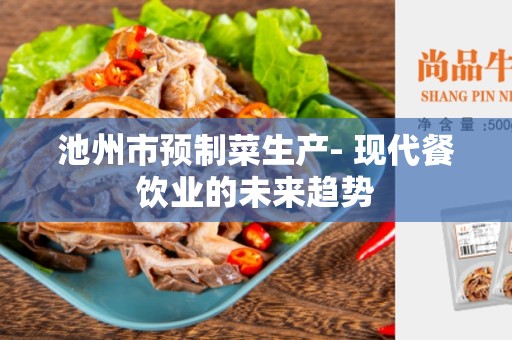池州市预制菜生产- 现代餐饮业的未来趋势