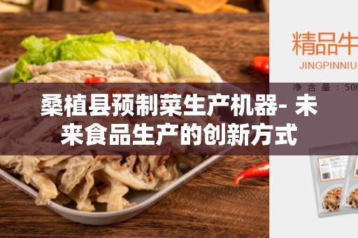 桑植县预制菜生产机器- 未来食品生产的创新方式