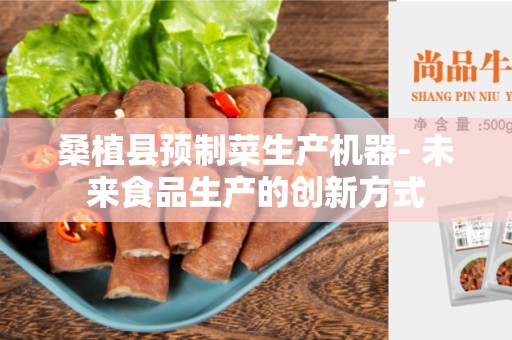 桑植县预制菜生产机器- 未来食品生产的创新方式