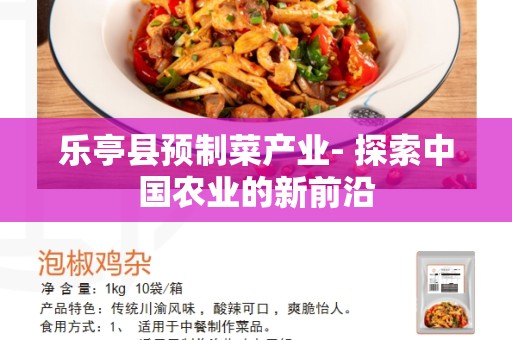 乐亭县预制菜产业- 探索中国农业的新前沿