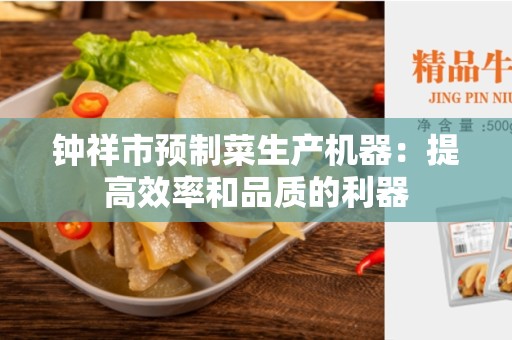 钟祥市预制菜生产机器：提高效率和品质的利器