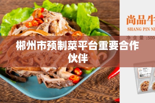 郴州市预制菜平台重要合作伙伴