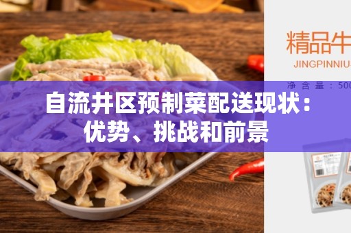 自流井区预制菜配送现状：优势、挑战和前景