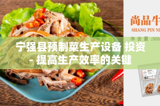 宁强县预制菜生产设备 投资- 提高生产效率的关键