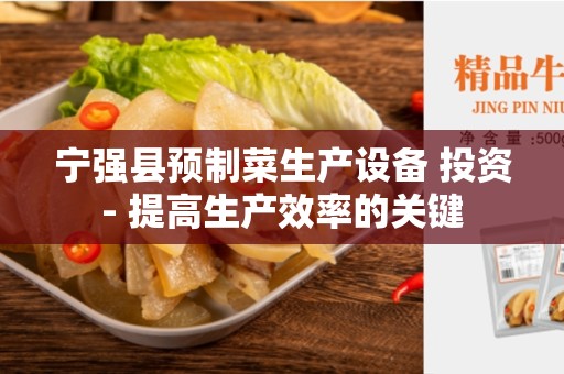 宁强县预制菜生产设备 投资- 提高生产效率的关键