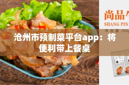 沧州市预制菜平台app：将便利带上餐桌