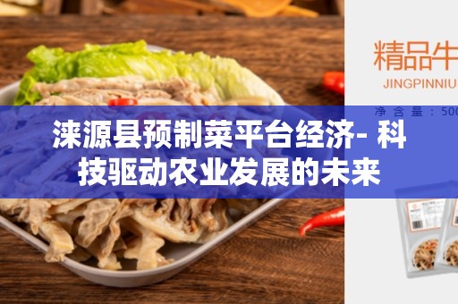 涞源县预制菜平台经济- 科技驱动农业发展的未来