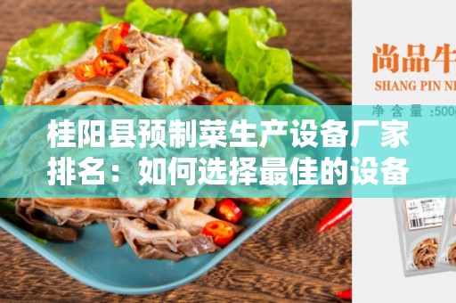 桂阳县预制菜生产设备厂家排名：如何选择最佳的设备？