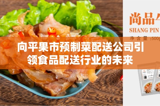向平果市预制菜配送公司引领食品配送行业的未来
