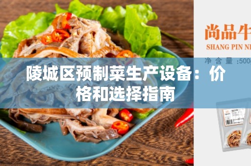 陵城区预制菜生产设备：价格和选择指南