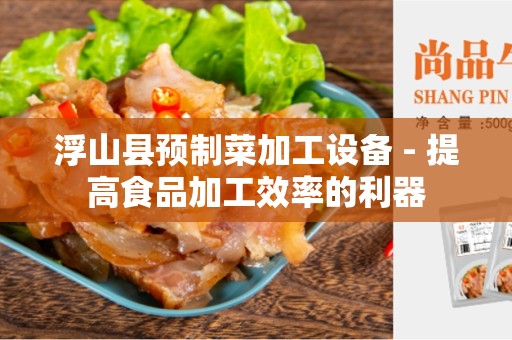 浮山县预制菜加工设备 - 提高食品加工效率的利器