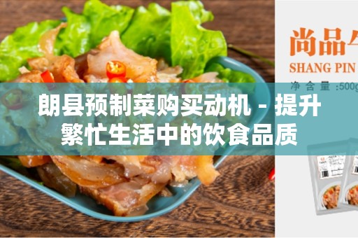 朗县预制菜购买动机 - 提升繁忙生活中的饮食品质