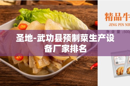 圣地-武功县预制菜生产设备厂家排名