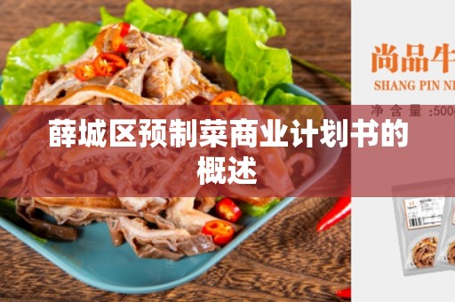 薛城区预制菜商业计划书的概述
