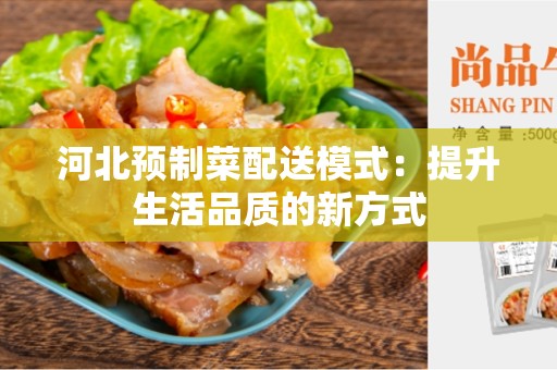 河北预制菜配送模式：提升生活品质的新方式