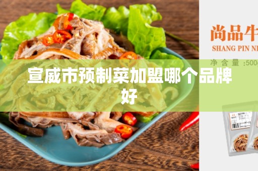 宣威市预制菜加盟哪个品牌好