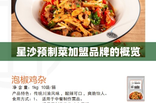 星沙预制菜加盟品牌的概览