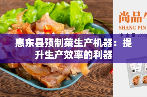 惠东县预制菜生产机器：提升生产效率的利器