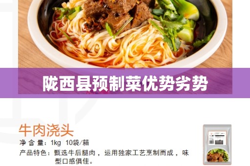 陇西县预制菜优势劣势