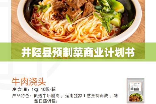 井陉县预制菜商业计划书
