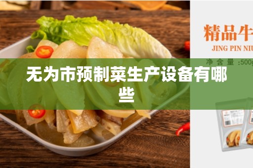无为市预制菜生产设备有哪些