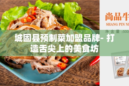 城固县预制菜加盟品牌- 打造舌尖上的美食坊