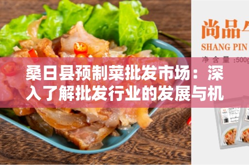 桑日县预制菜批发市场：深入了解批发行业的发展与机遇