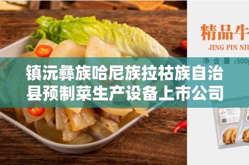镇沅彝族哈尼族拉祜族自治县预制菜生产设备上市公司有哪些
