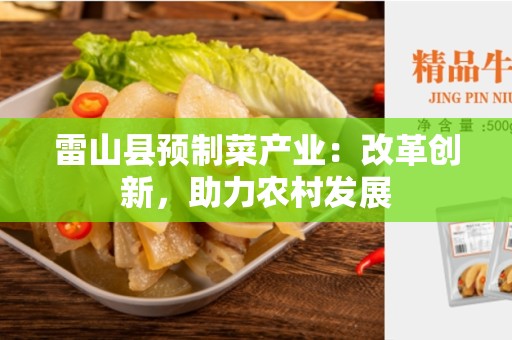 雷山县预制菜产业：改革创新，助力农村发展