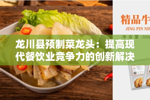 龙川县预制菜龙头：提高现代餐饮业竞争力的创新解决方案