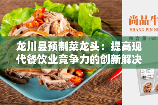 龙川县预制菜龙头：提高现代餐饮业竞争力的创新解决方案