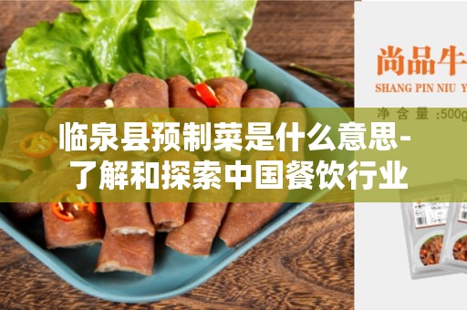 临泉县预制菜是什么意思- 了解和探索中国餐饮行业的新趋势