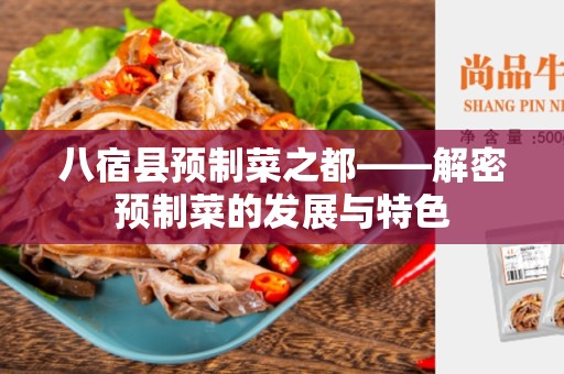 八宿县预制菜之都——解密预制菜的发展与特色