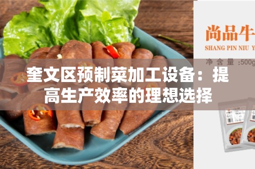奎文区预制菜加工设备：提高生产效率的理想选择