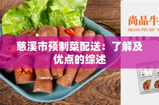 慈溪市预制菜配送：了解及优点的综述