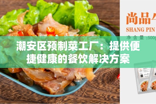 潮安区预制菜工厂：提供便捷健康的餐饮解决方案