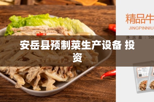 安岳县预制菜生产设备 投资
