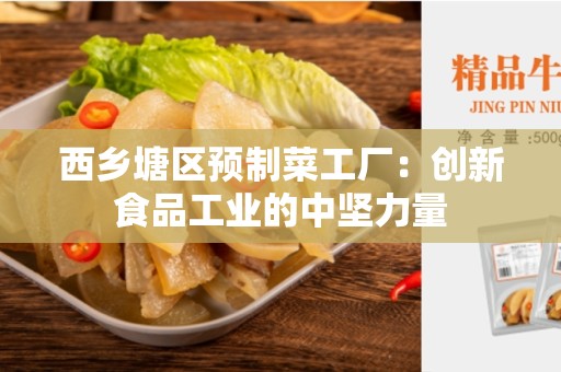 西乡塘区预制菜工厂：创新食品工业的中坚力量