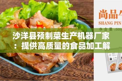 沙洋县预制菜生产机器厂家：提供高质量的食品加工解决方案