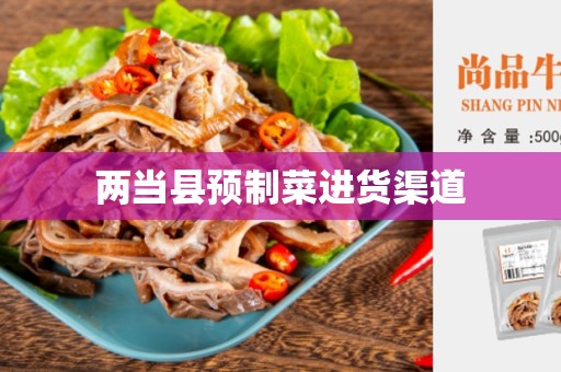 两当县预制菜进货渠道