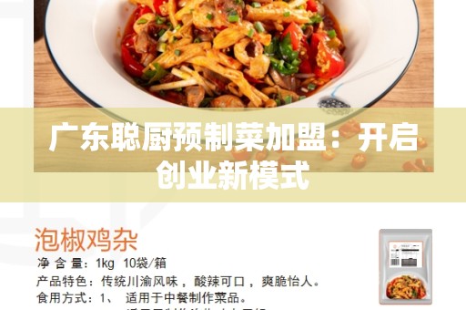 广东聪厨预制菜加盟：开启创业新模式