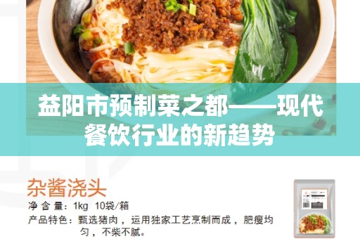 益阳市预制菜之都——现代餐饮行业的新趋势