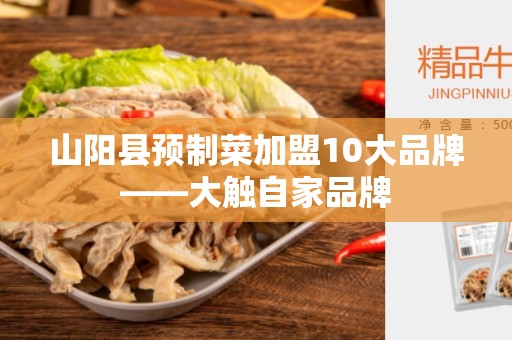 山阳县预制菜加盟10大品牌——大触自家品牌
