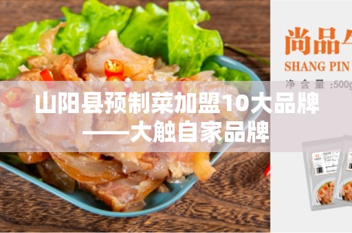 山阳县预制菜加盟10大品牌——大触自家品牌