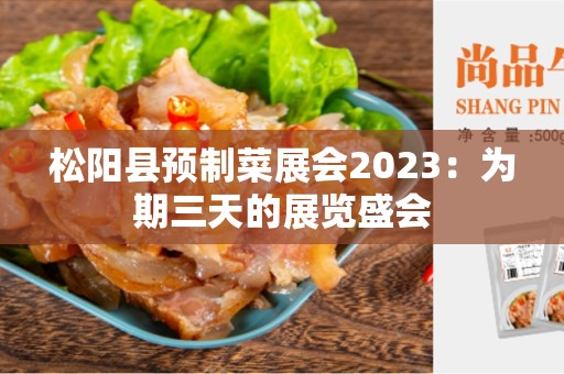 松阳县预制菜展会2023：为期三天的展览盛会