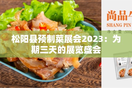 松阳县预制菜展会2023：为期三天的展览盛会