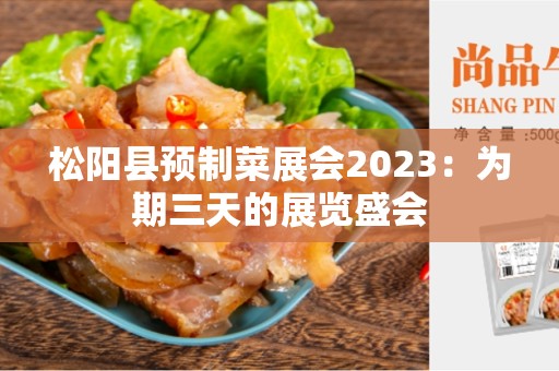 松阳县预制菜展会2023：为期三天的展览盛会