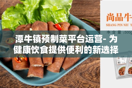 潭牛镇预制菜平台运营- 为健康饮食提供便利的新选择