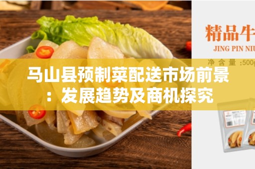 马山县预制菜配送市场前景：发展趋势及商机探究