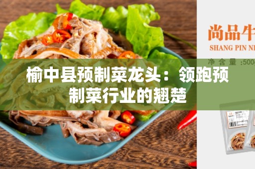 榆中县预制菜龙头：领跑预制菜行业的翘楚